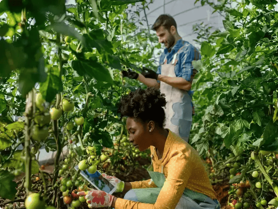 Meshed_20Group_case_20study_ApprovalMax_hero_20section