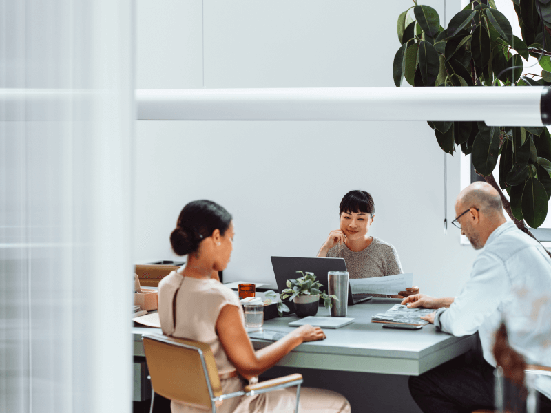 Financial Controllers & Auditors