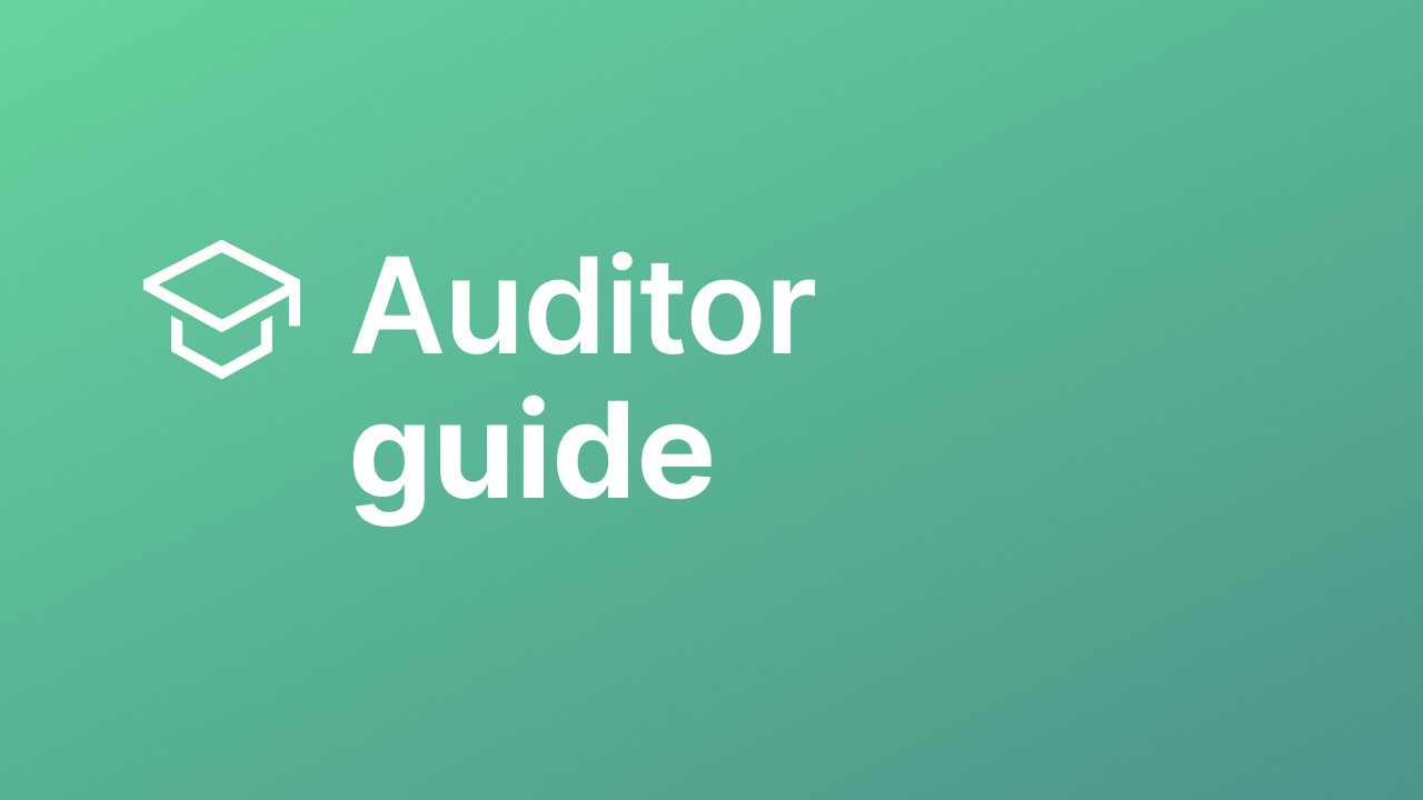 auditor guide